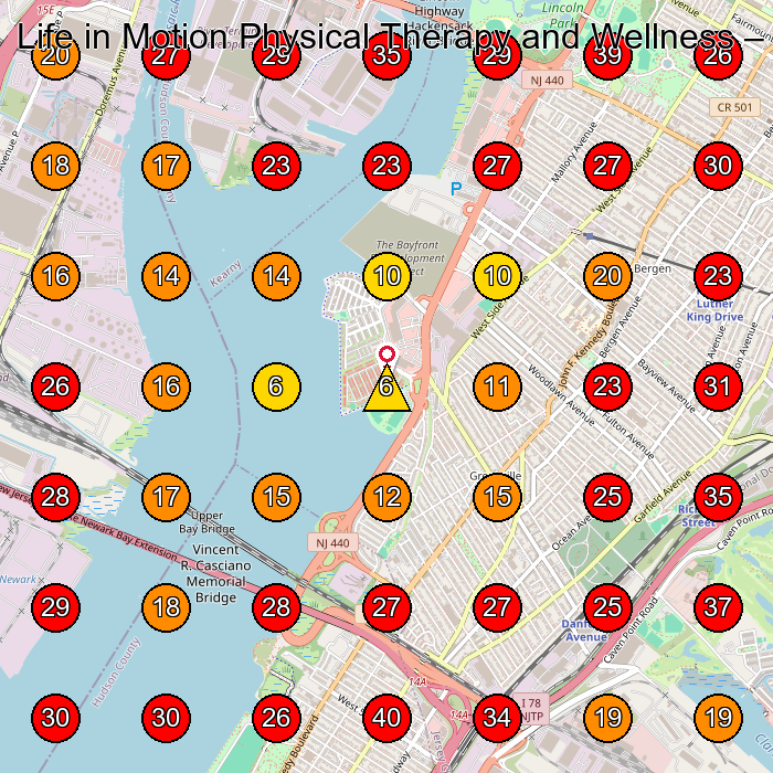 Life in Motion Physical Therapy and Wellness GeoGrid visibility map for Chiropractor in Bayonne